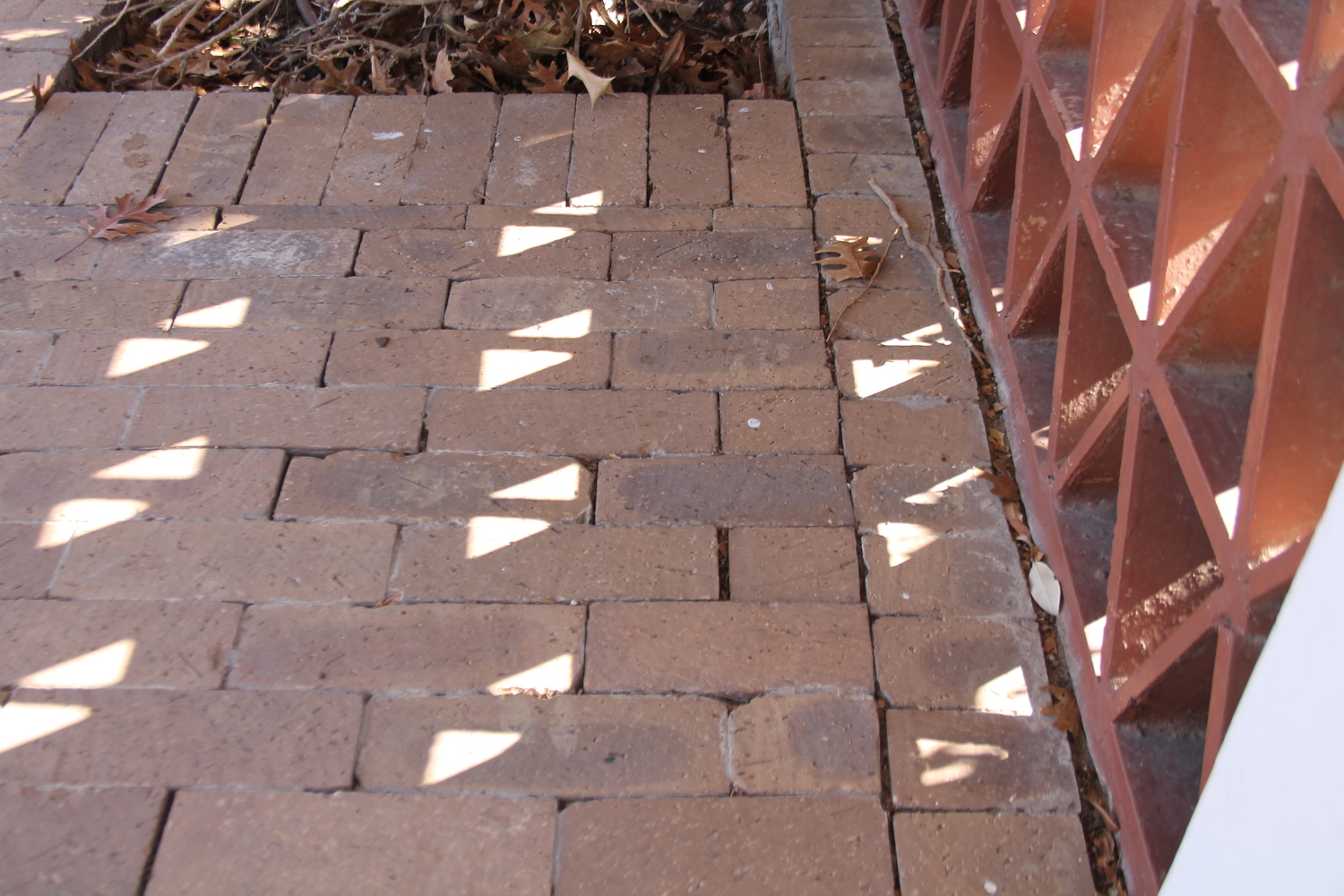 Late morning light creates a geometric shaped pattern in January.