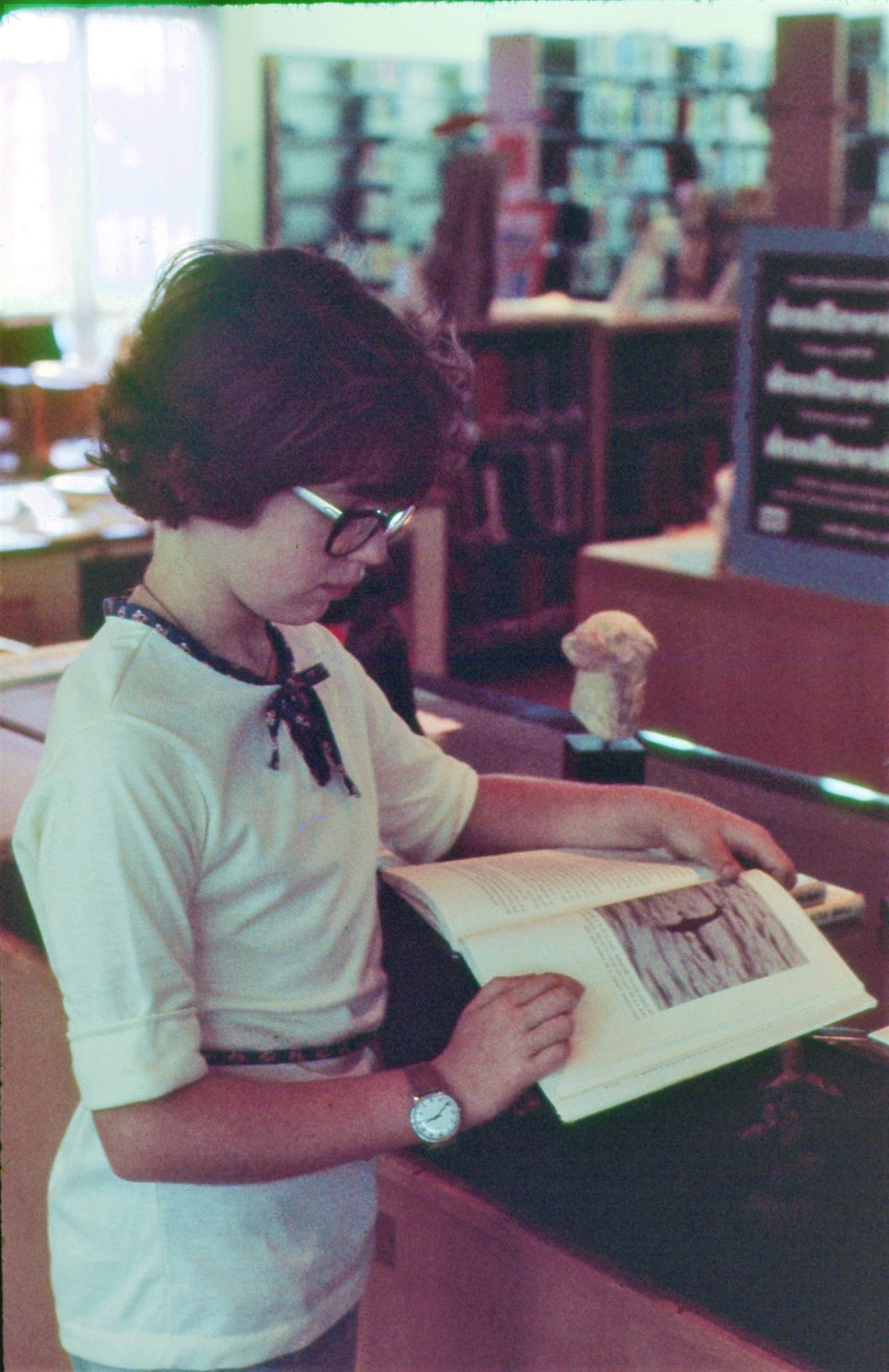 A young girl looks at a book while leaning against a counter that holds a statue of a head of a dog.