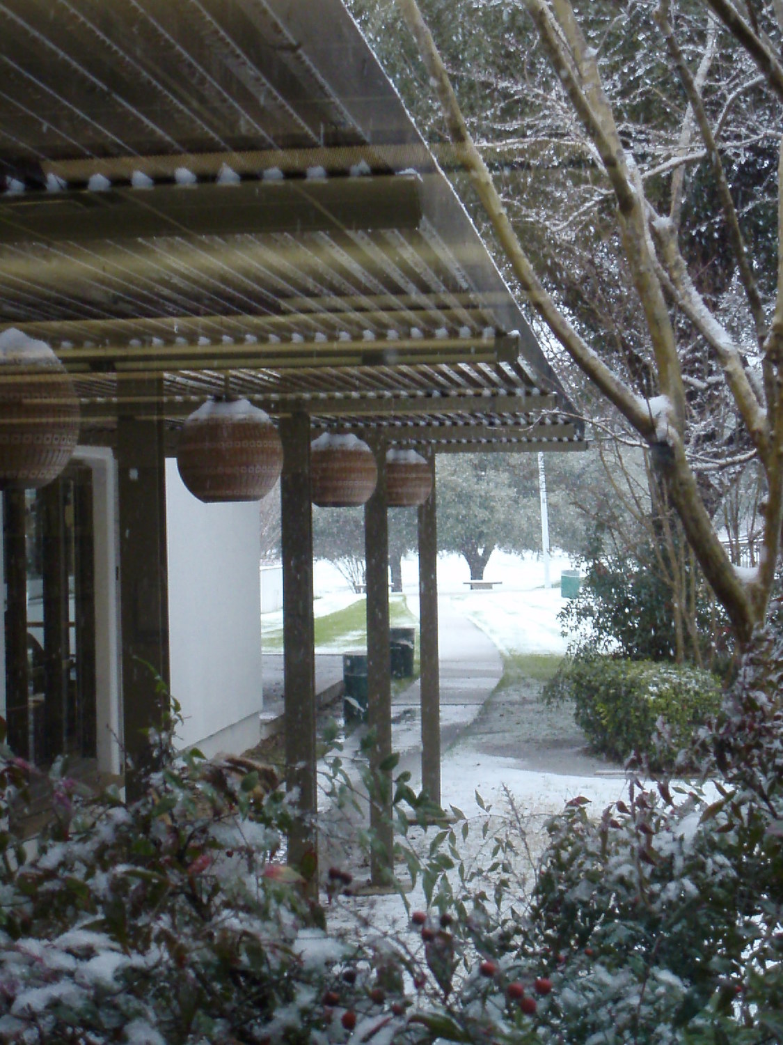 Pottery lamps hang from a pergola on the southeast side of the Emily Fowler Library.