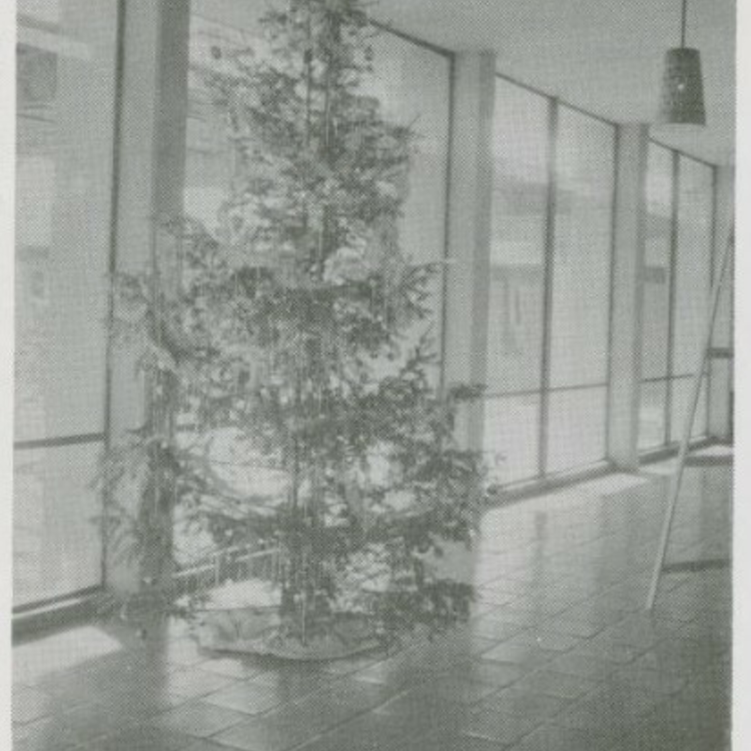 View of the Municipal Christmas tree sitting on the Saltillo tile floor. Beaumont Mood pendant lights hang overhead.