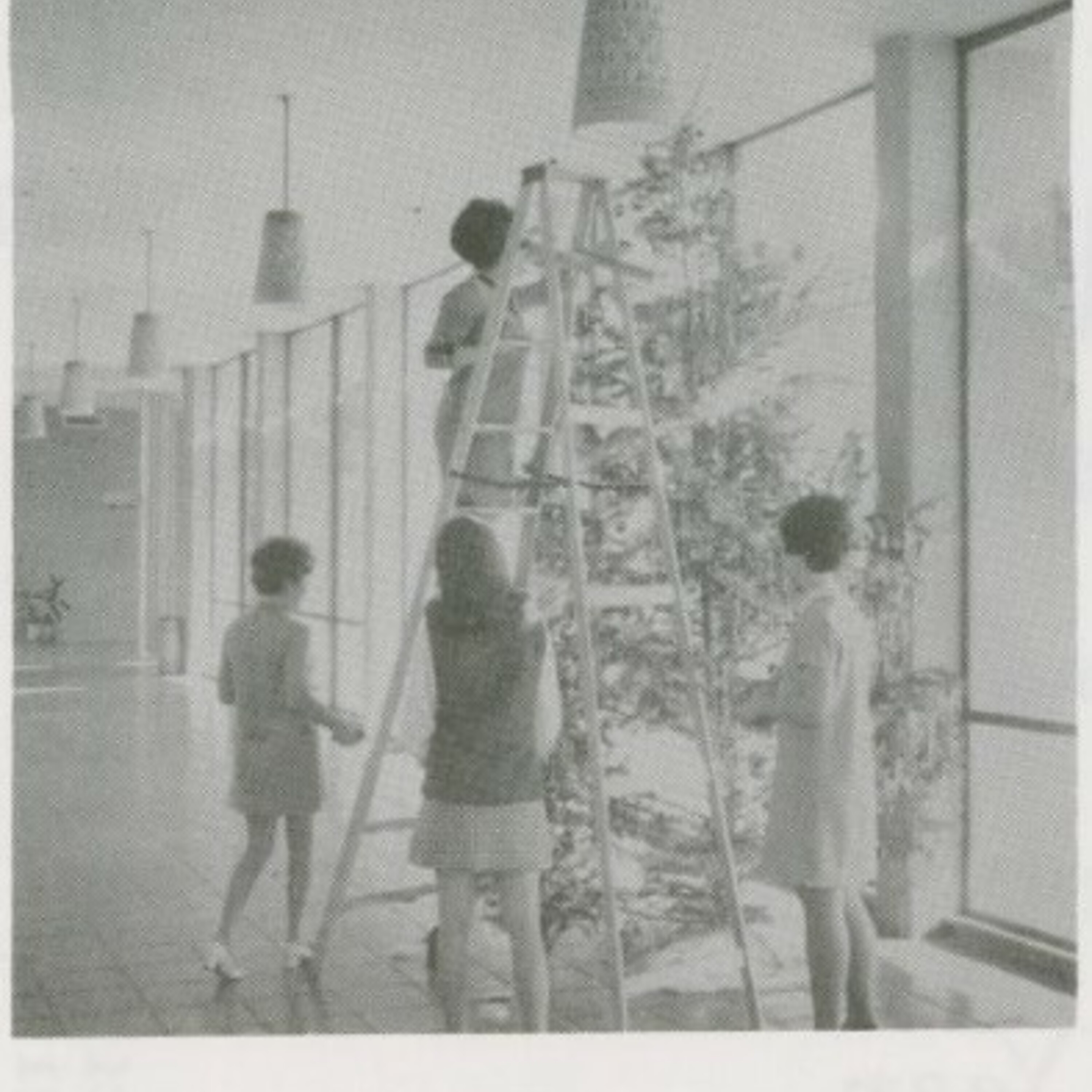 Volunteers decorating municipal Christmas tree, December 1966.