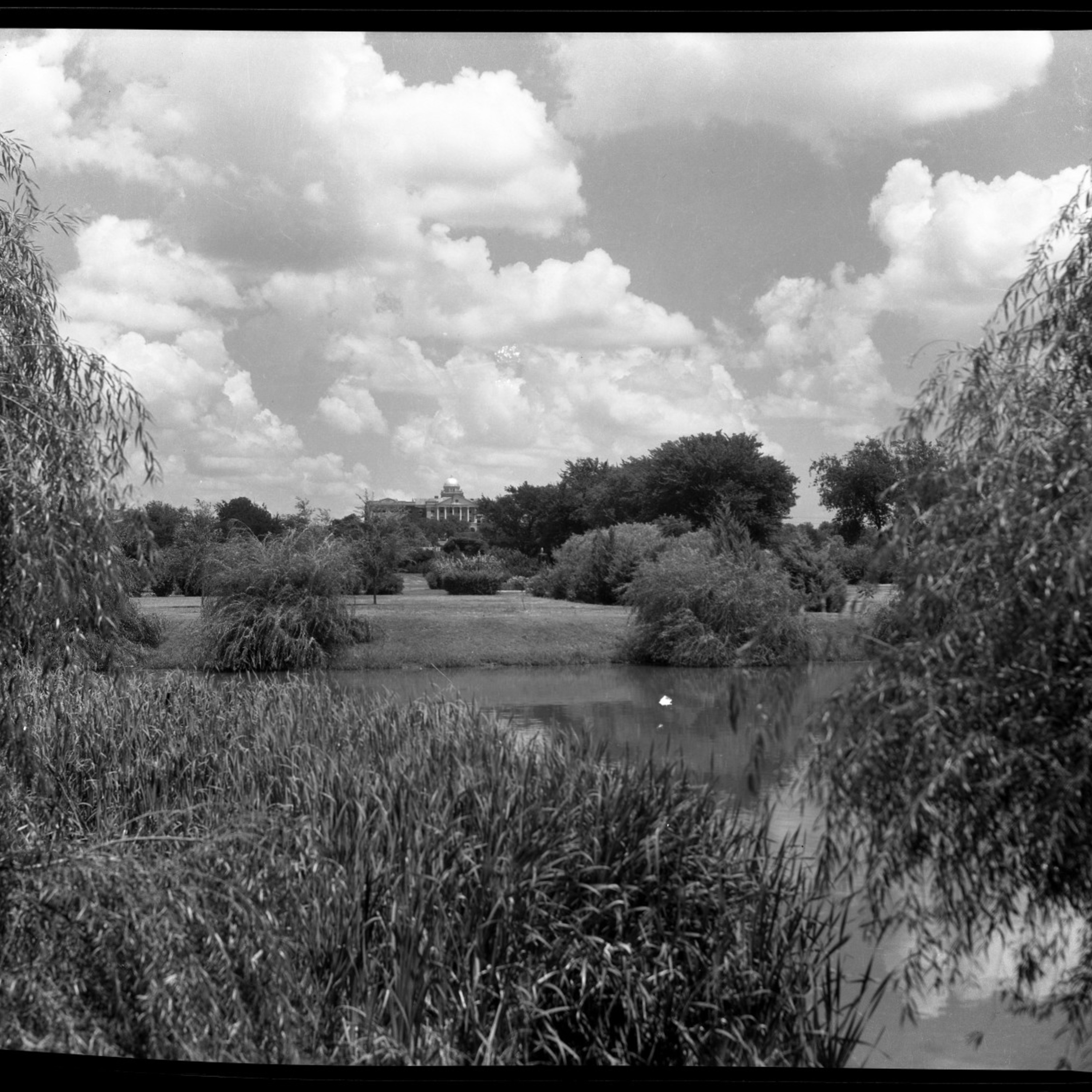 City Park looking toward TWU Admin Building undated on portal.jpg