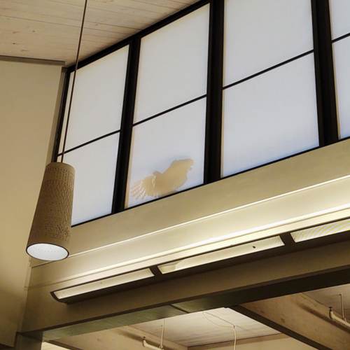 A male hawk fights its reflection on an exterior window atop the Emily Fowler Library.