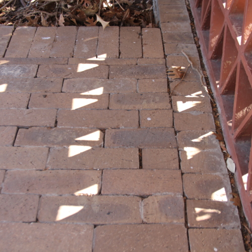 Late morning light creates a geometric shaped pattern in January.