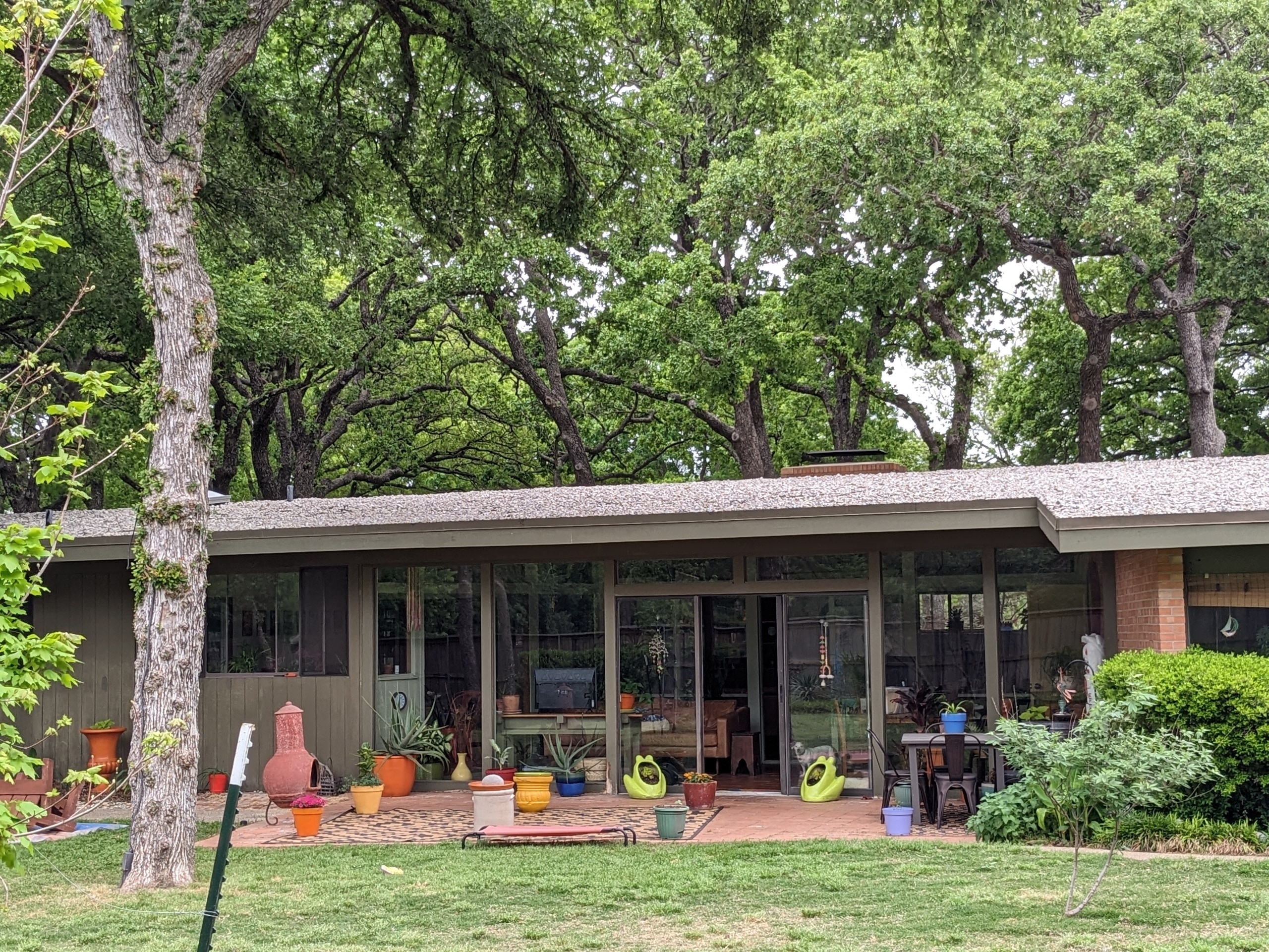 2023_04_19_403 Mimosa St (31).jpg