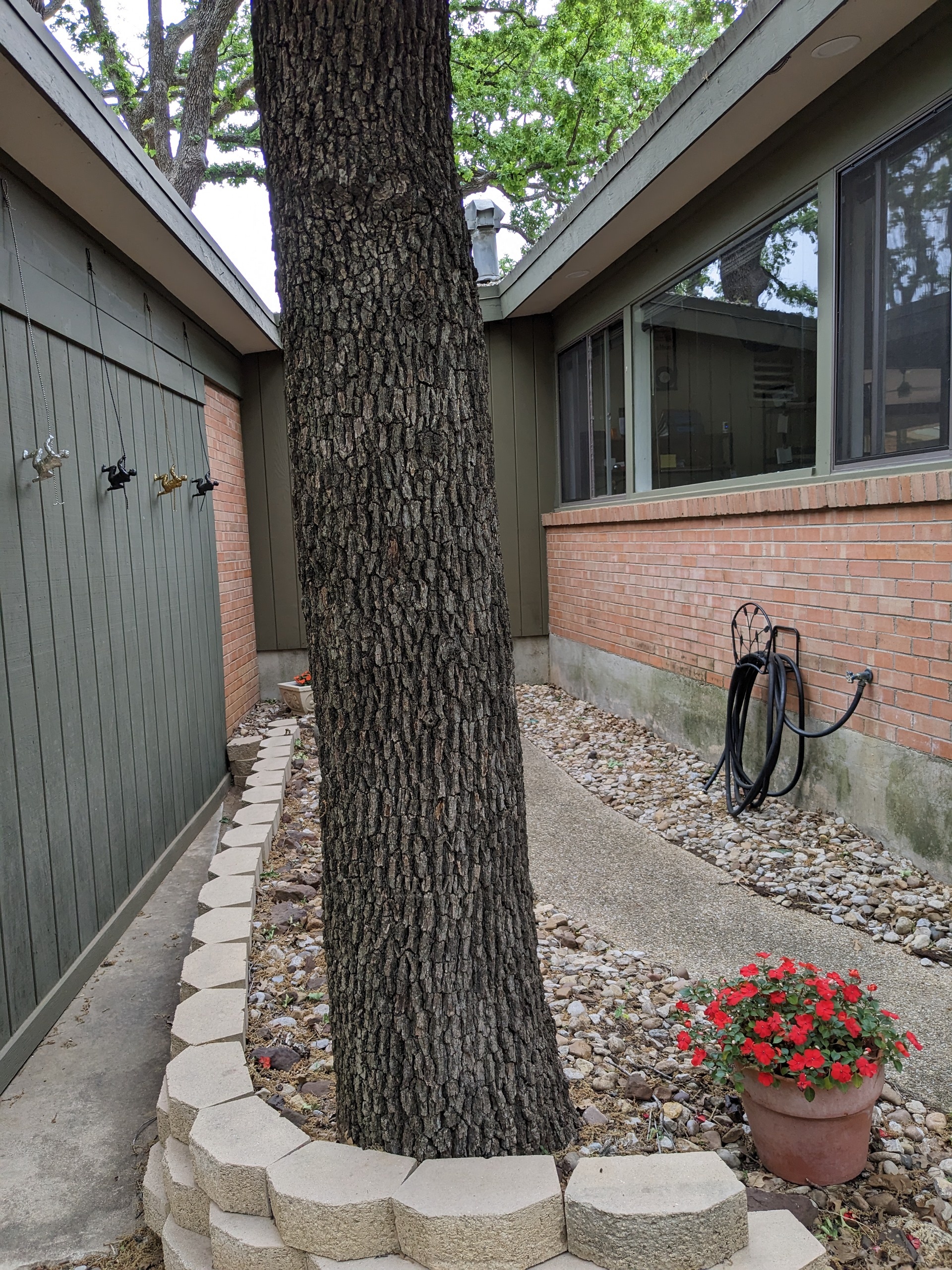 2023_04_19_403 Mimosa St (15).jpg