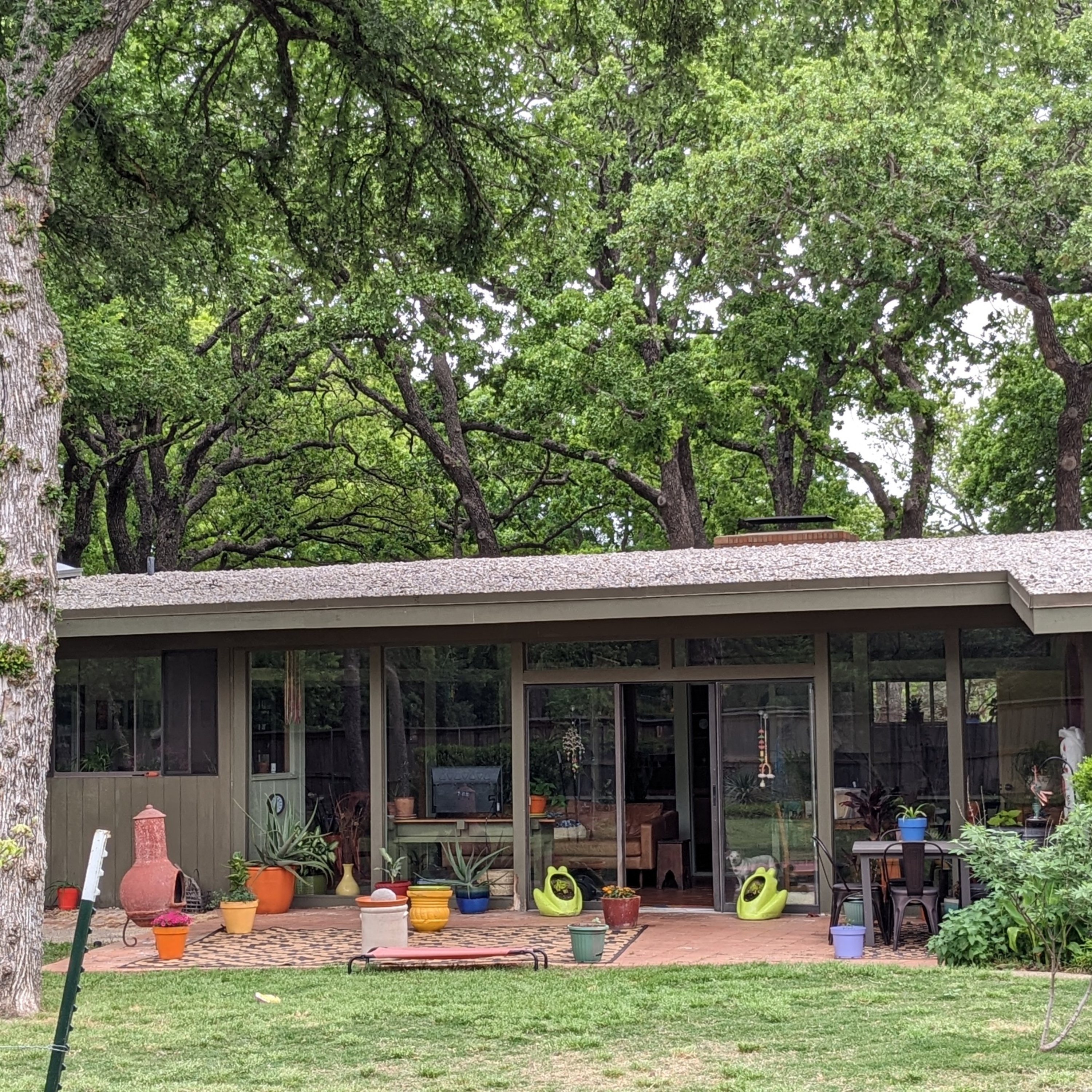 2023_04_19_403 Mimosa St (31).jpg