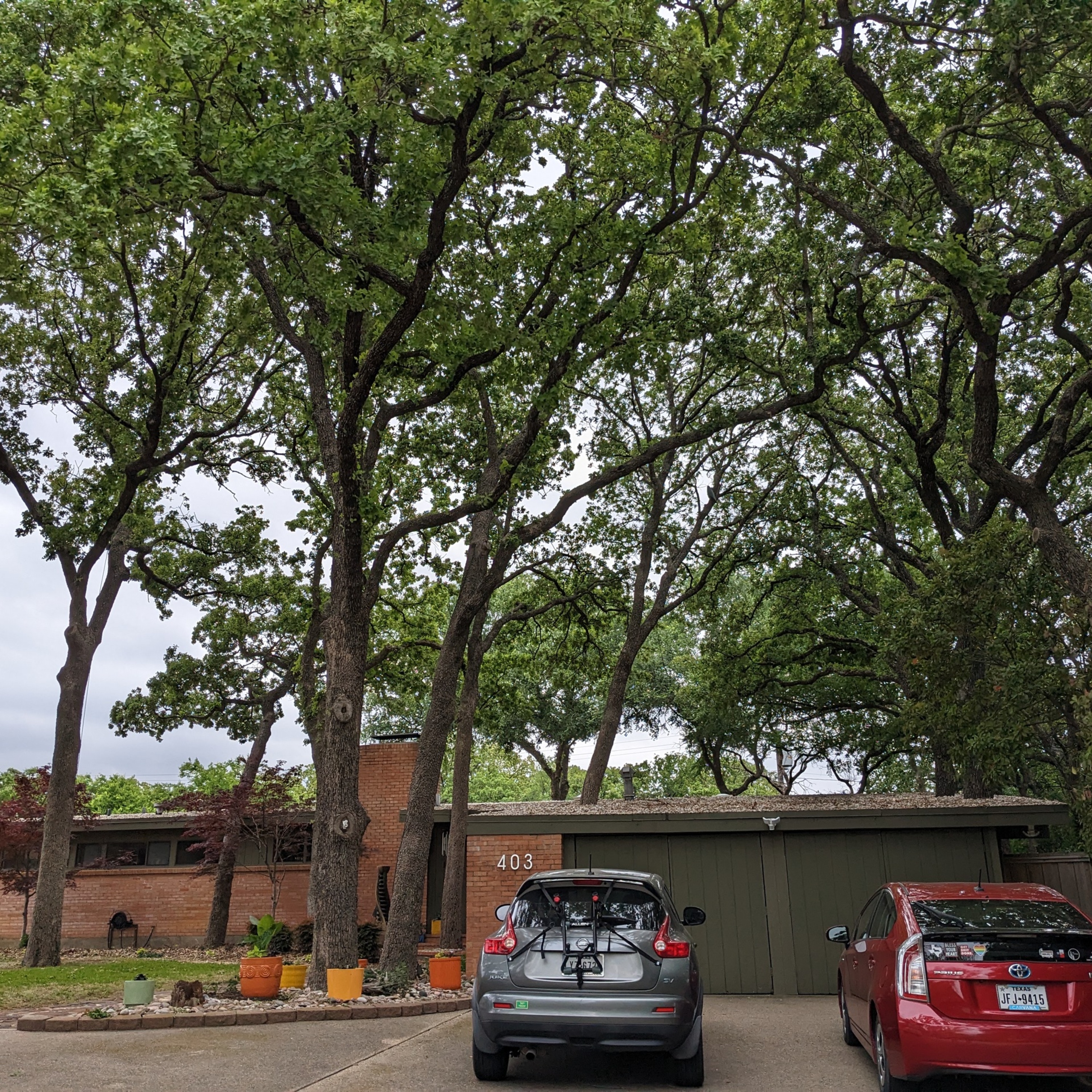 Front entrance to 403 Mimosa St.