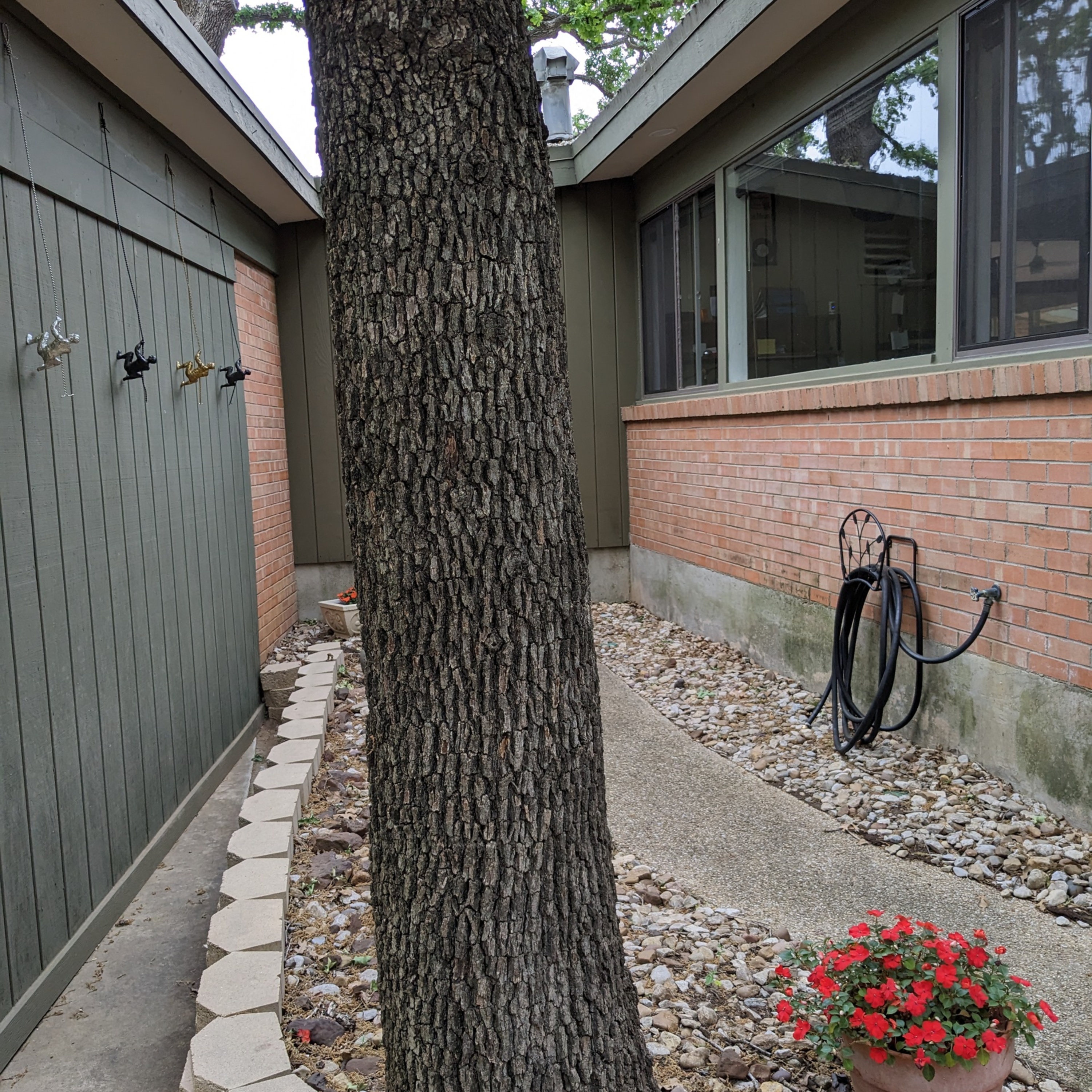 2023_04_19_403 Mimosa St (15).jpg