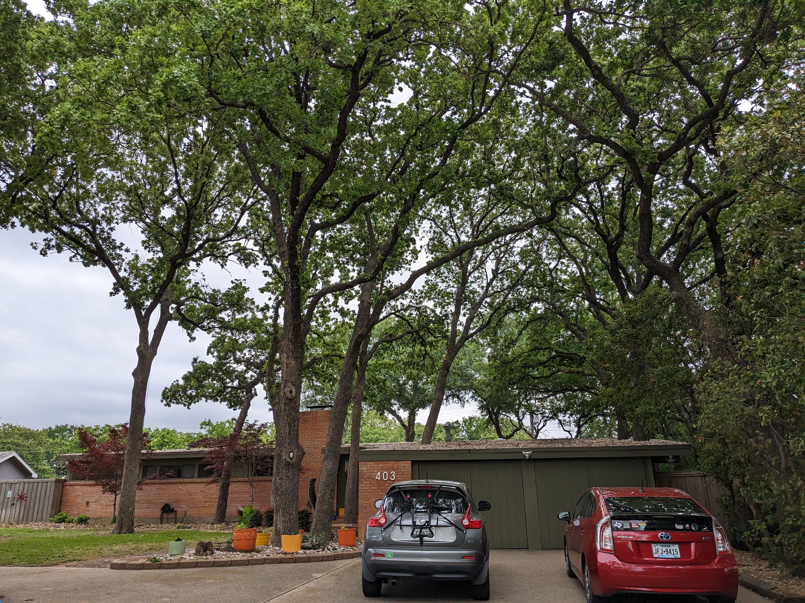 Front entrance to 403 Mimosa St.